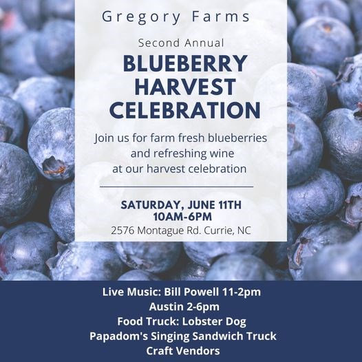 Gregory Farms' 2nd Annual Blueberry Harvest Celebration