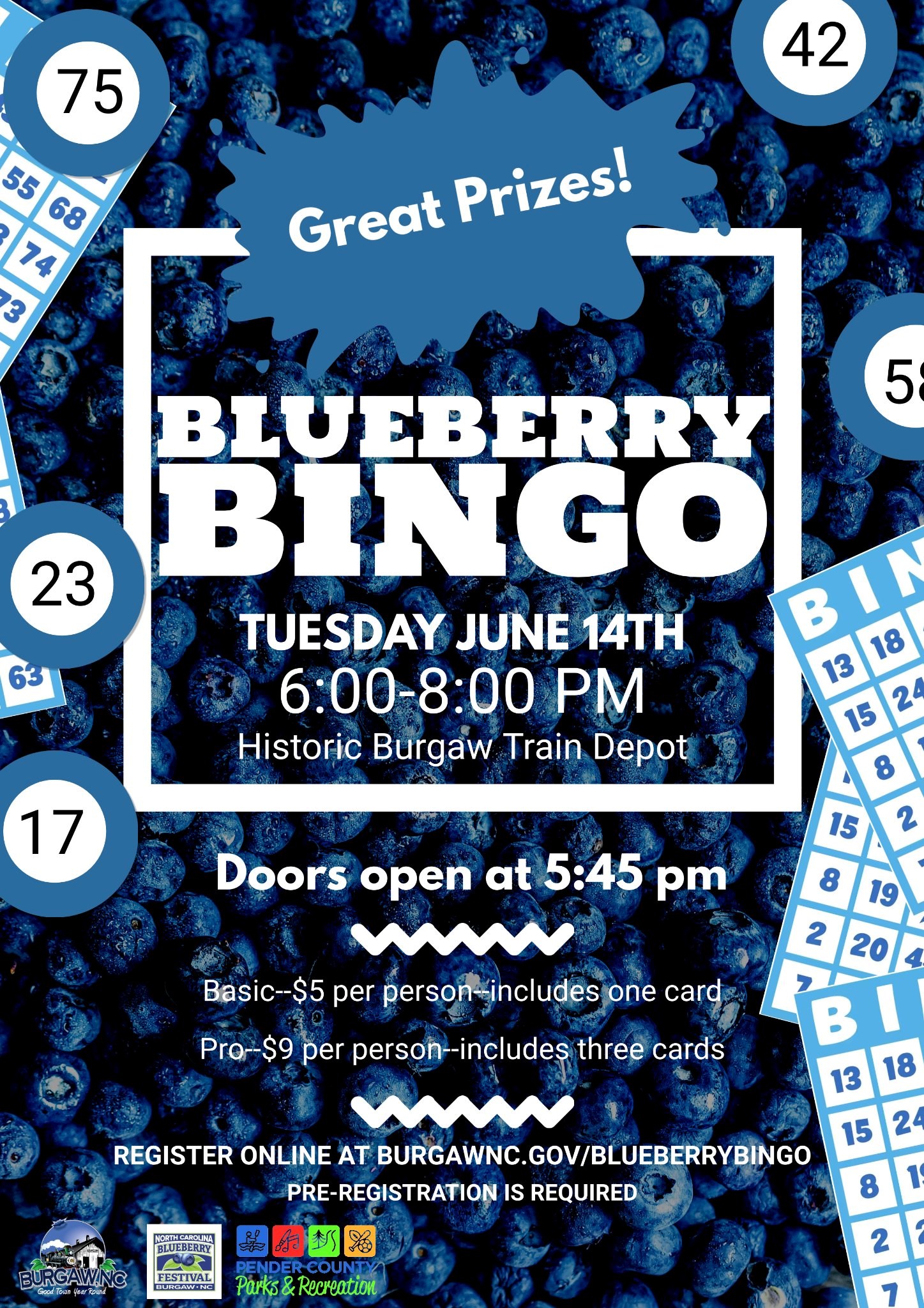 Blueberry Bingo