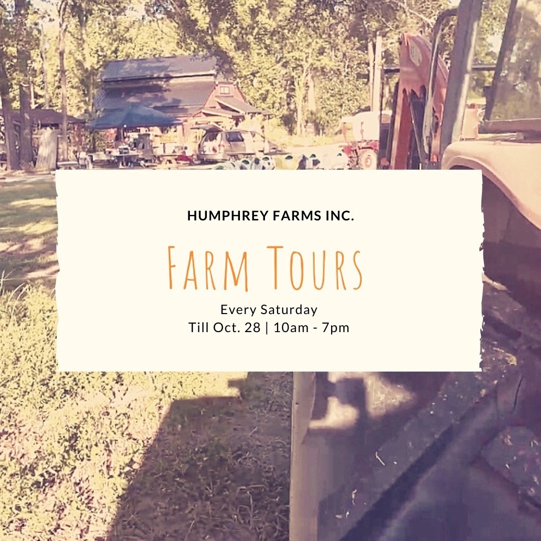 Farm Tours at Humphrey Farms