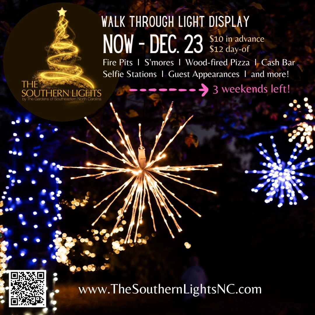 The Southern Lights