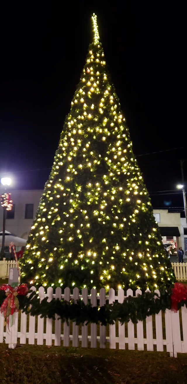 Town of Burgaw Annual Christmas Tree Lighting