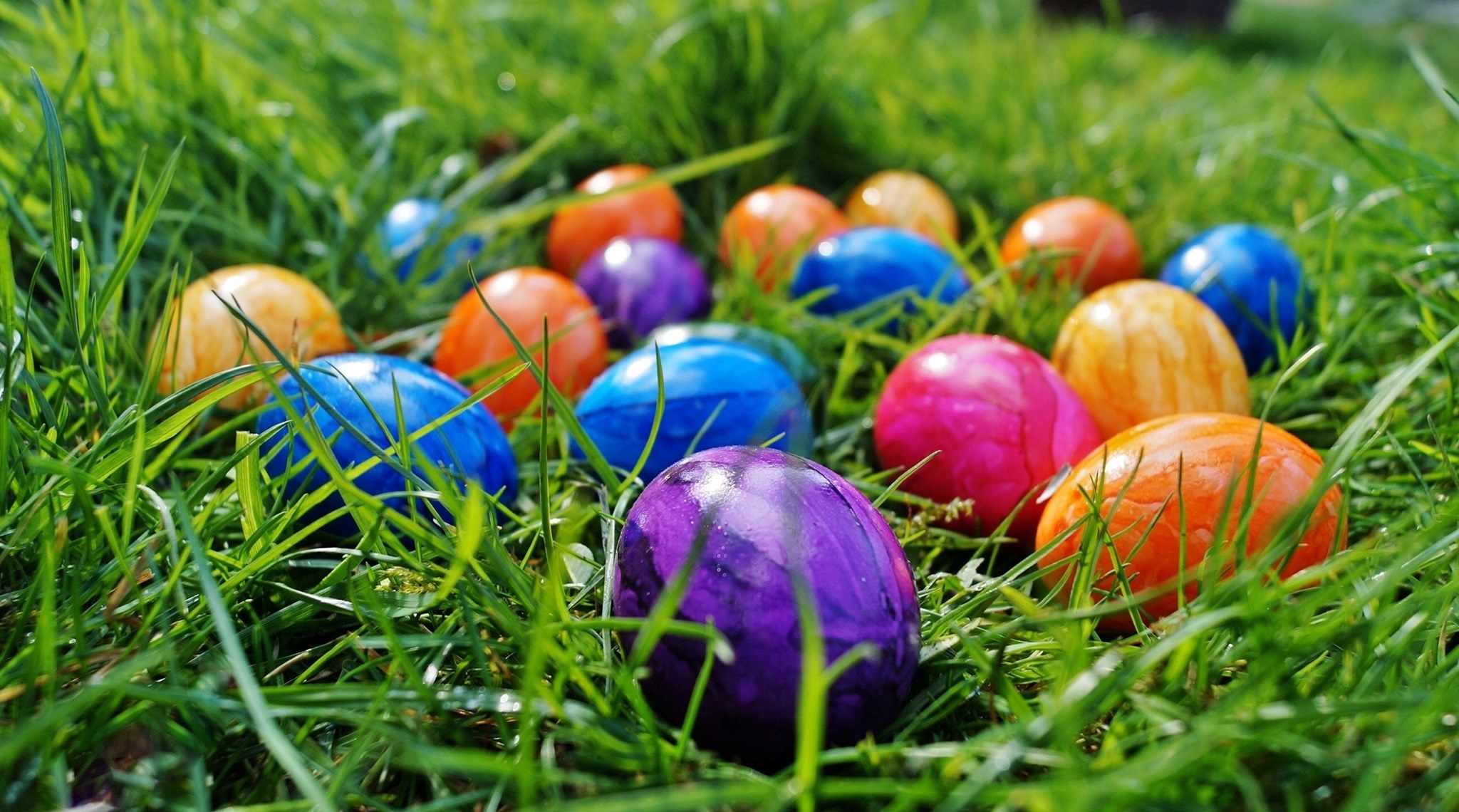 Easter Egg Scramble