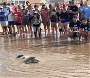 Njord and Shamrock race to the finish line