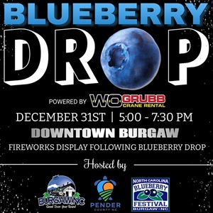 Annual New Years Blueberry Drop