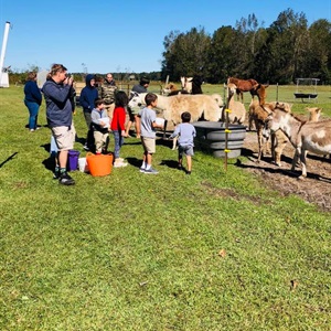 Fowler's Farm