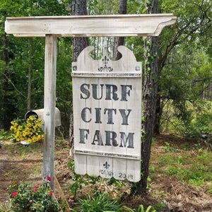 Surf City Farm